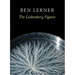 The Lichtenberg Figures