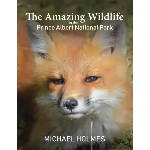 The Amazing Wildlife in the Prince Albert National Park