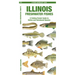 Illinois Freshwater Fishes: A Folding Pocket Guide to Native and Introduced Species