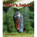 What's Inside?