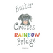 Buster Crosses Rainbow Bridge