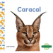 Caracal (Caracals)
