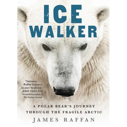 Ice Walker: A Polar Bear's Journey Through the Fragile Arctic