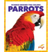 Parrots