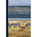 The Beagle in America and England