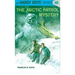 The Arctic Patrol Mystery