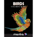 Birds Coloring Book: Coloring Book for Adults: Beautiful Designs for Stress Relief, Creativity, and Relaxation