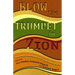 Blow the Trumpet in Zion!: Global Vision and Action for the Twenty-First-Century Black Church