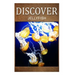 Jellyfish - Discover: Early reader's wildlife photography book