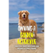 Owning A Golden Retriever: Things Every Owner Should Know, From Breeding To Feeding & Training: The Best Breeding Practices For Golden Retrievers