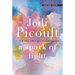 A Spark of Light