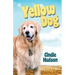 Yellow Dog