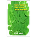 100% Ways to Stay Healthy with Moringa: Moringa (the Magic Tree)