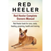 Red Heeler Dog. Red Heeler dog book for costs, care, feeding, grooming, training and health. Red Heeler dog Owners Manual.