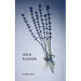 Wild Flower