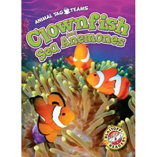 Clownfish and Sea Anemones