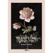 Plant Lore, Legends & Lyrics