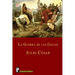 La guerra de las Galias