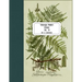 Vintage Prints: Ferns: Vol. 10