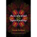 Accidental Spirituality