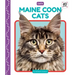 Maine Coon Cats