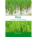 Rice: Genetics and Breeding
