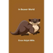 In Beaver World