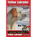 Yellow Labrador Training Book for Dogs and Puppies by BoneUp Dog Training: Are You Ready to Bone Up? Easy Steps * Fast Results Yellow Labrador Trainin