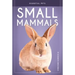 Small Mammals