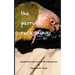 The Parrot Reckonings