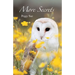 More Secrets