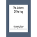 The Anatomy Of The Frog