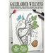 Gallbladder Wellness: The Ultimate Guide to Eliminating Gallbladder Pain, Managing Gallstones, Inflammation, Biliary Colic Attacks, Sludge,