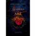 Llamas de aire: (fantasía y romance)