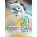 Covid Vortex Anxiety Opera Kitty Kaleidoscope Disco