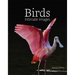 Birds: Intimate Images