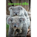 San Diego Zoo Official Guidebook