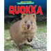 Quokka