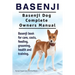 Basenji. Basenji Dog Complete Owners Manual. Basenji book for care, costs, feeding, grooming, health and training.