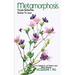 Metamorphosis: Purple Butterflies Dance To Jazz