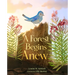 A Forest Begins Anew