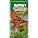 Hawai'i Butterflies & Pollinators, 2nd Ed: A Folding Pocket Guide to Familiar Species