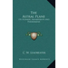 The Astral Plane: Its Scenery, Inhabitants and Phenomena