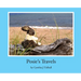 Posie's Travels