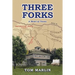 Three Forks: A Novel of Texas