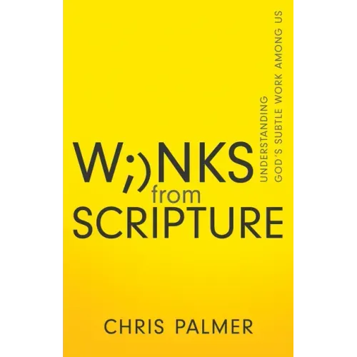 Winks from Scripture: Understanding God's Subtle Work Among Us