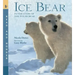 Ice Bear: In the Steps of the Polar Bear: Read and Wonder