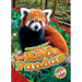 Red Pandas