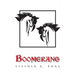 Boomerang: A Plan or Action to Return to the Originator