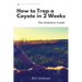 How To Trap a Coyote in 2 Weeks: The Definitive Guide